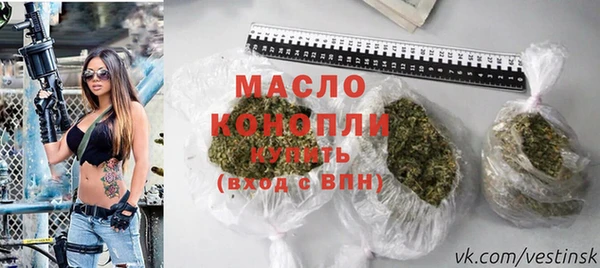 твердый Козельск