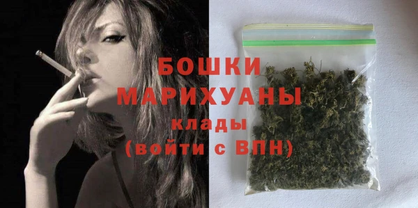 сатива Верхний Тагил